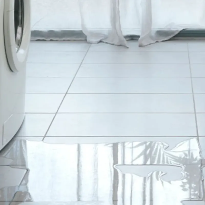 Appliance Leak Cleanup in Seguin, TX